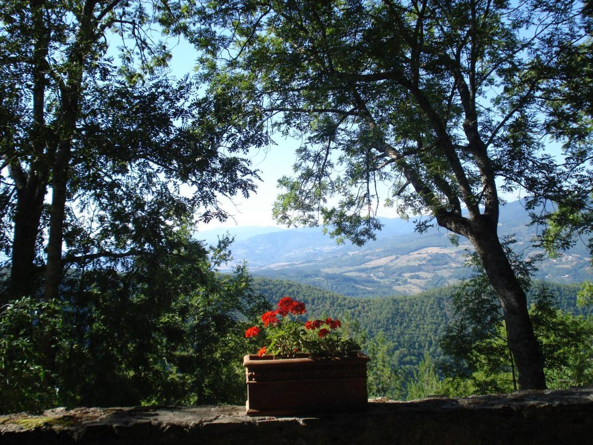 Castello Di Sarna Villa Chiusi della Verna Exterior foto